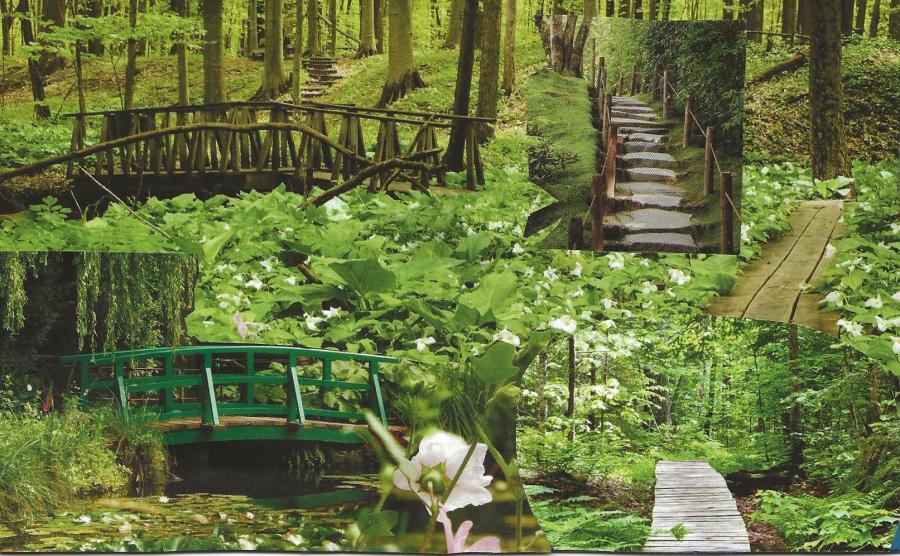 collage of bridges and green vegetation