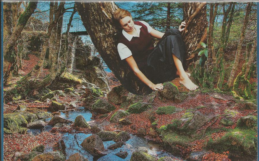 collage of woman sitting by wooded stream