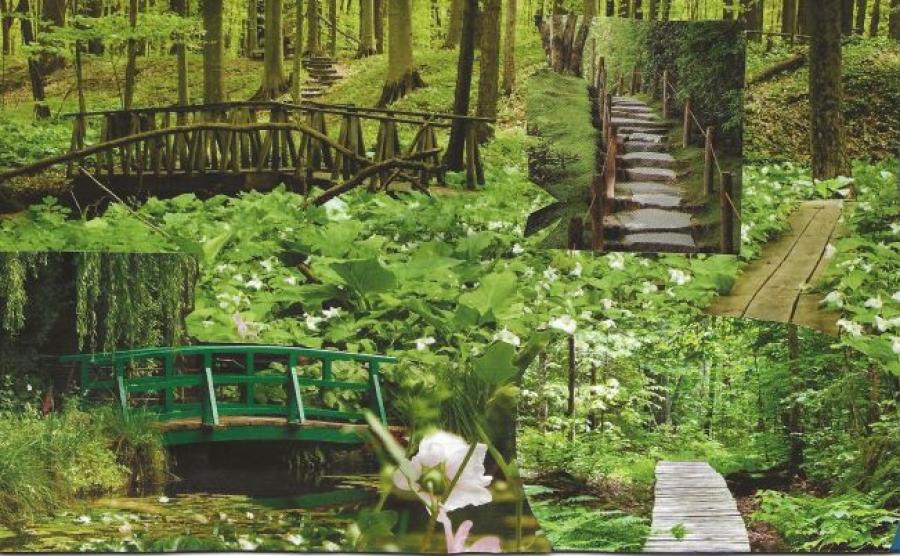 collage of bridges going through green forest