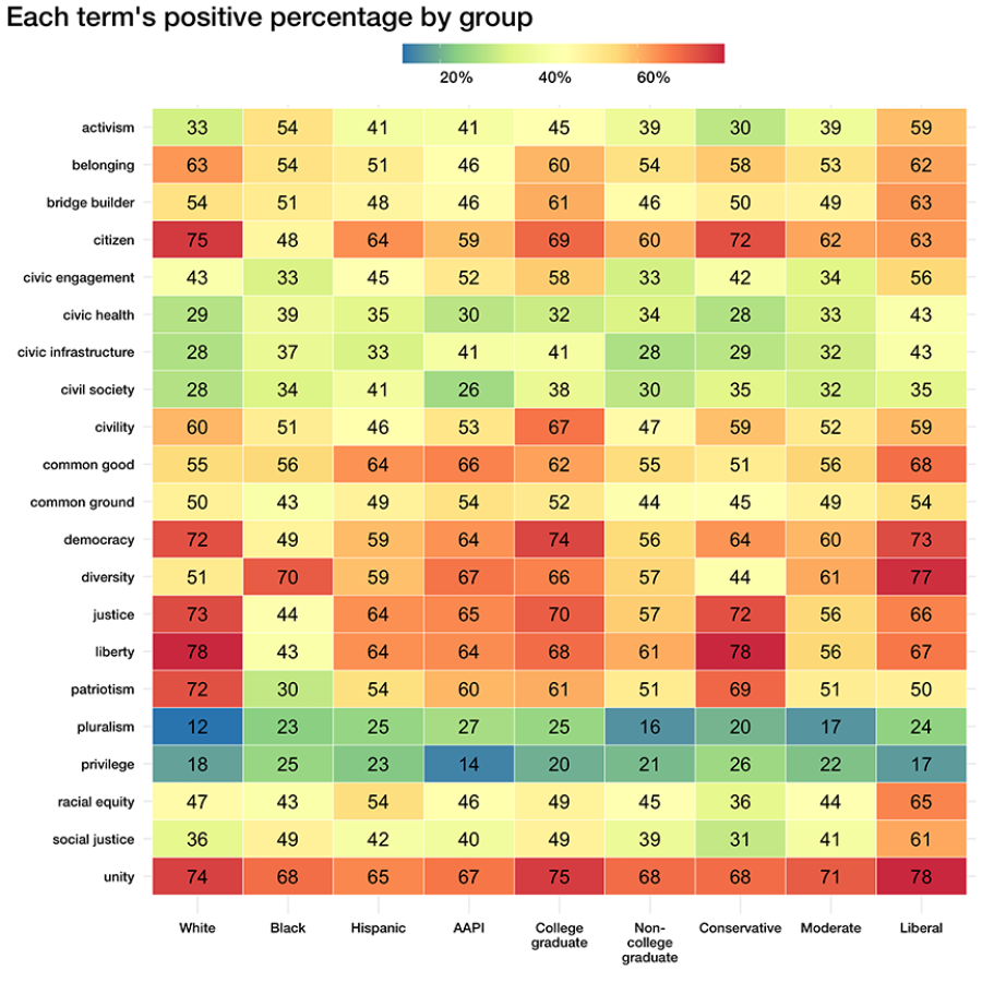 Civic Language Perception Project heatmap of how groups perceive civic terms