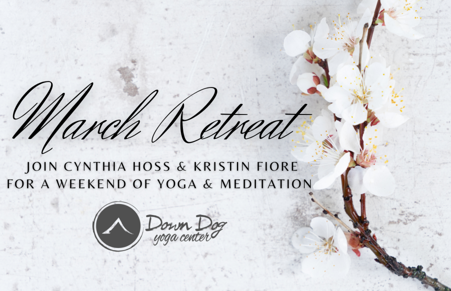 March yoga retreat - tree branch with flowers