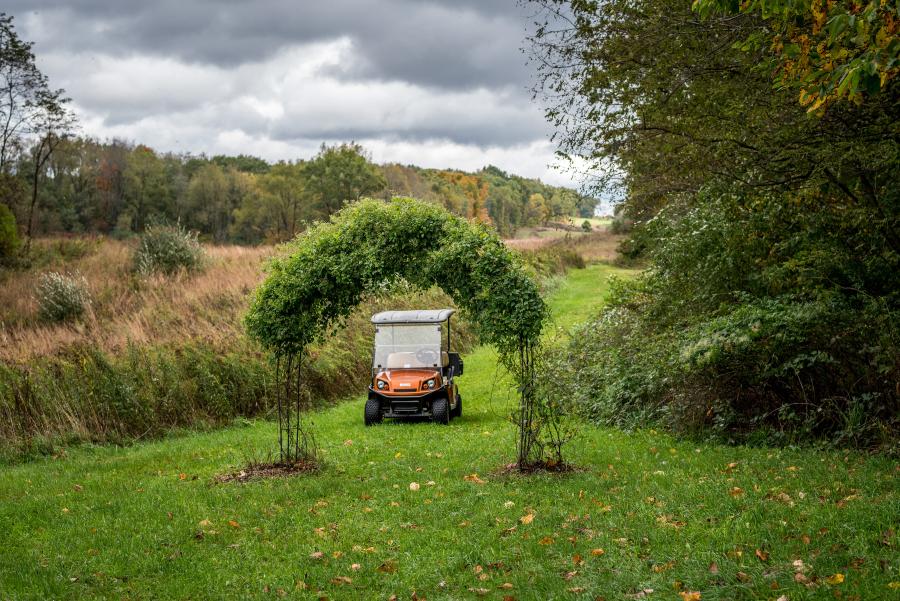 Golf cart and trellis