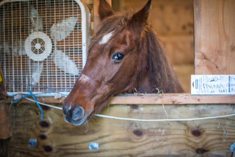 GilChrist Gallery 3 The Fetzer Institute