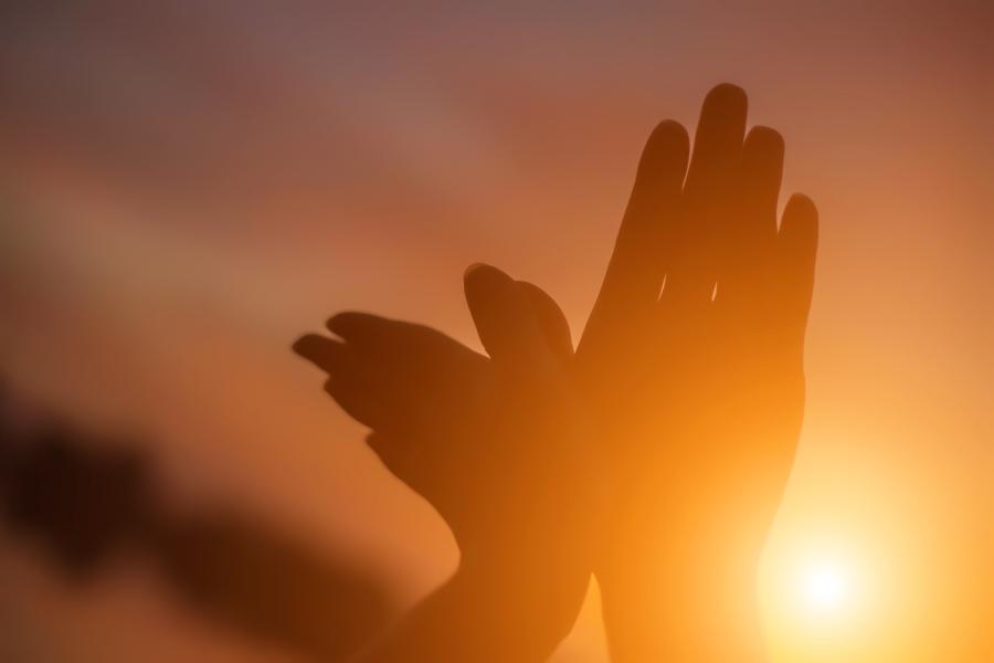 Image of hands in the shape of a bird