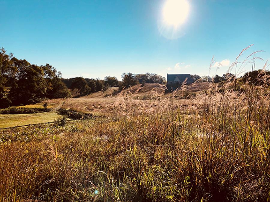 summer sun shines on GilChrist Retreat Center and labyrinth