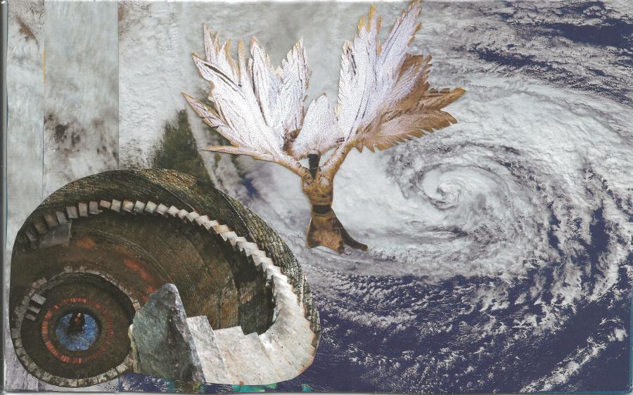 Collage with shells, feather, atmosphere