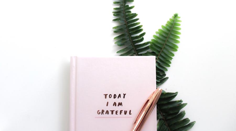 Gratitude journal and pen on table