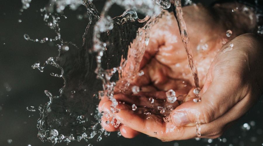 Cupped hands being washed under water.