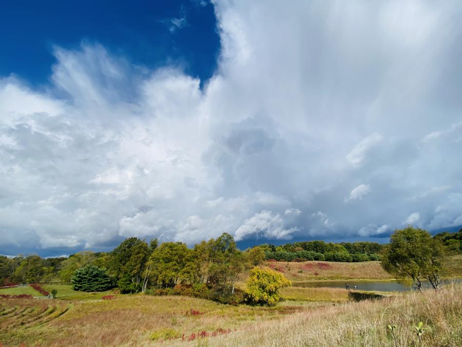 clouds and blue skies over prairie and trees