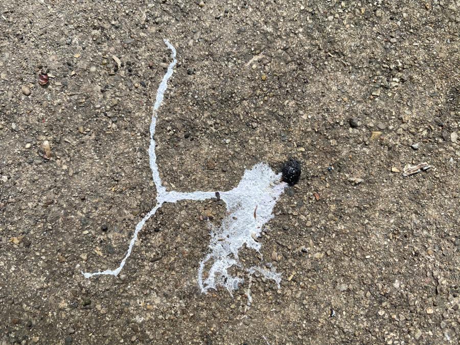 abstract sidewalk art: white on grey