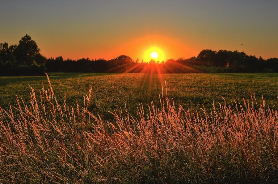 sun setting over field with grass in the foreground