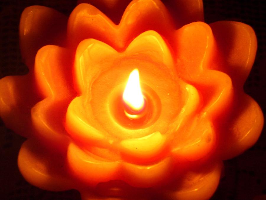 close up image of an orange flower-shaped candle burning