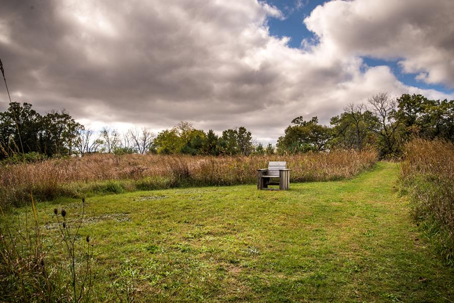 grass with single wooden chair and clouds in the sky