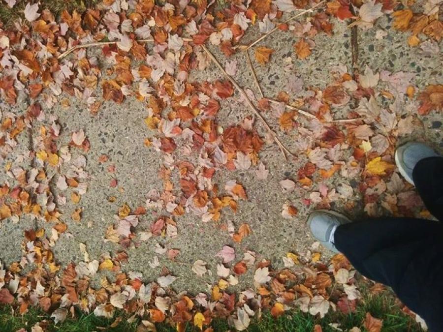 footfall in leaves