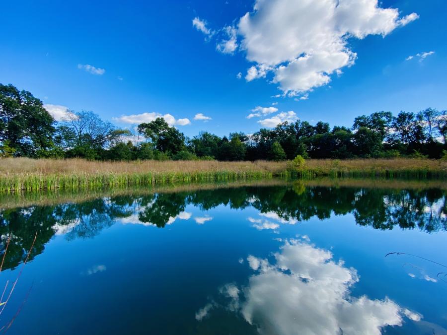 blue sky with white clouds reflected in still pond surface