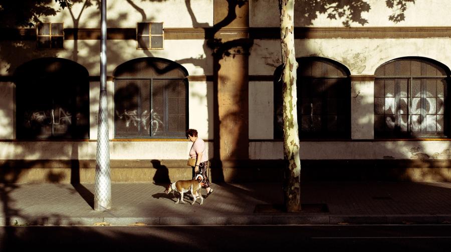 Woman walking dog in front of neighborhood building