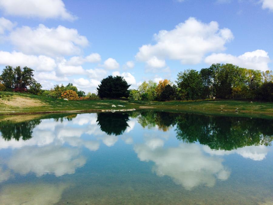 reflection on pond