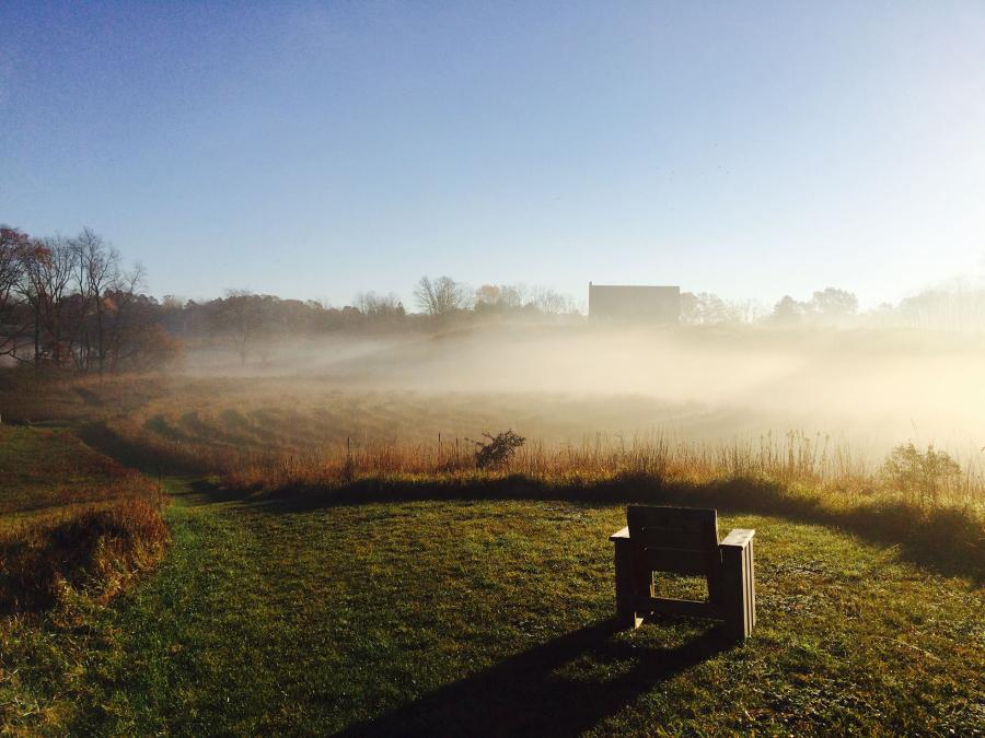 chair overlooking foggy meadow