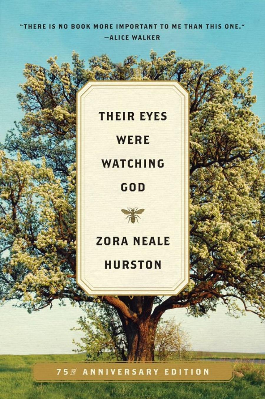Book cover for Zora Neale Hurston's Their Eyes Were Watching God