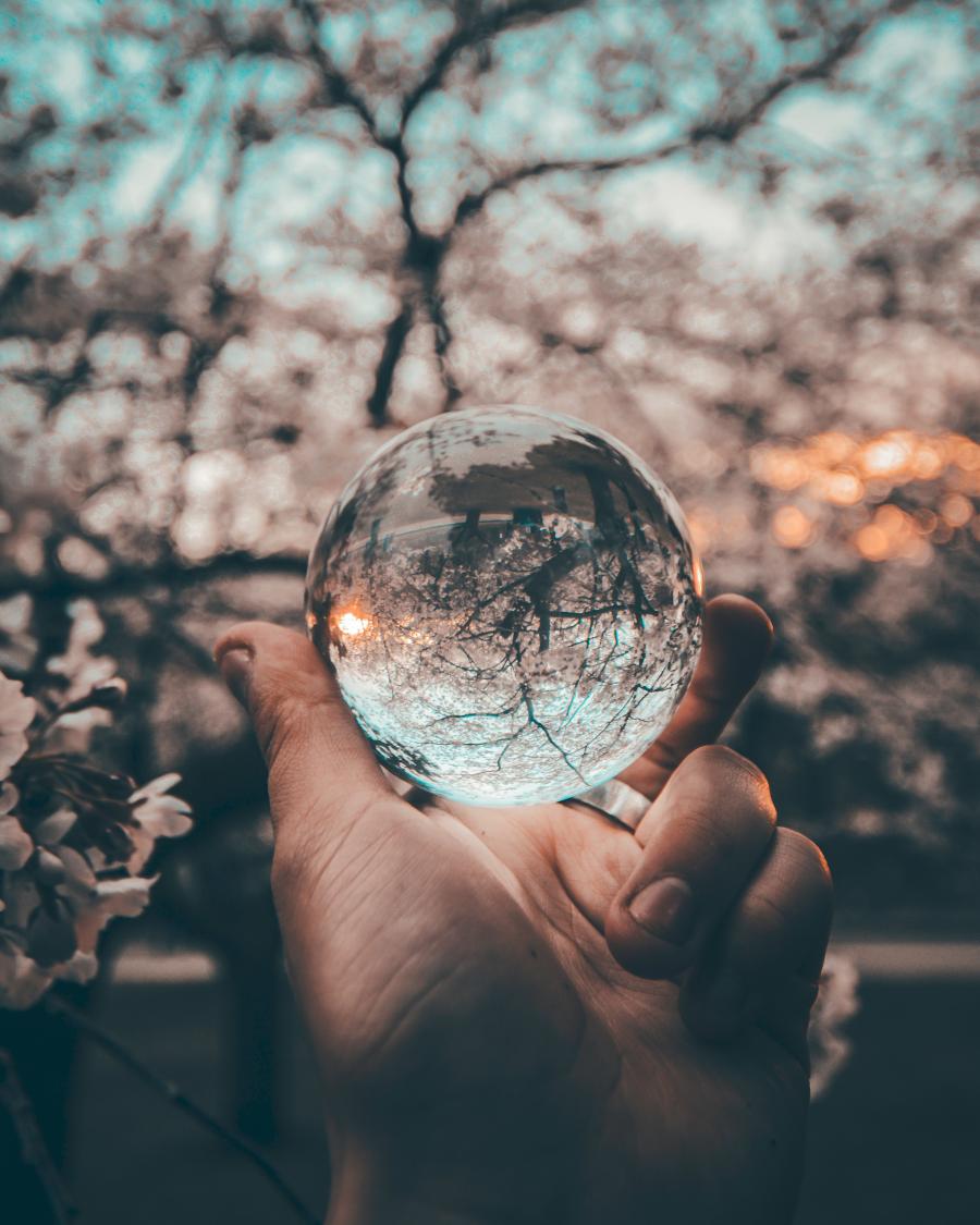 hand holding glass globe with reflections of trees inside